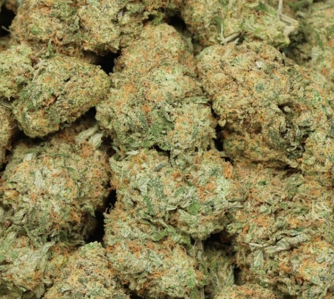 Ice Cream Sherbert