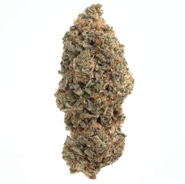 Rainbow Sherbert